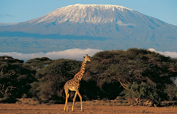 Mount Kilimanjaro