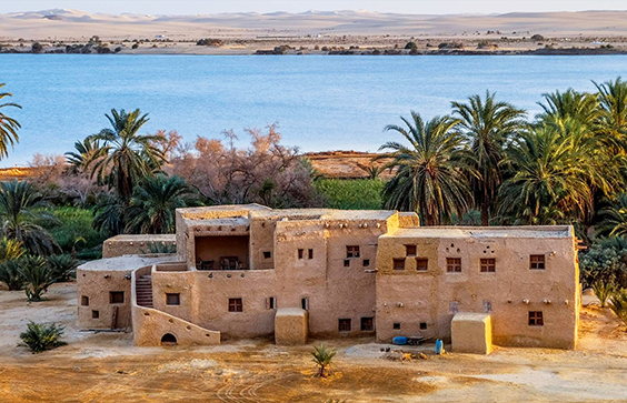 Siwa Oasis