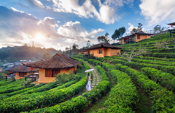 Tegallalang's : Balinese countryside, picturesque charm