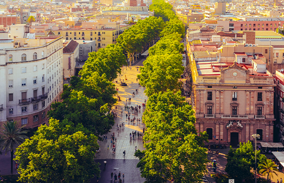Las Ramblas: Vibrant Boulevard of Barcelona