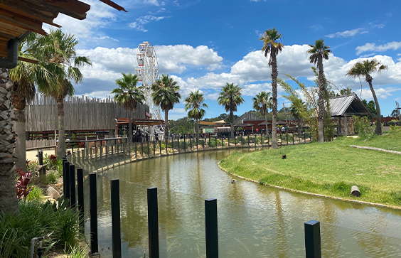Sydney Zoo: Connecting People with Nature where Wonder Meets Wildlife.